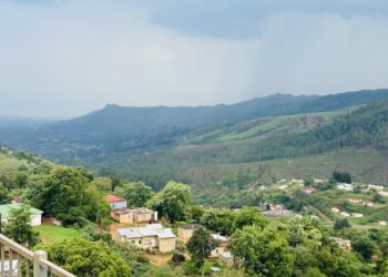 Eswatini moves to strengthen forest protection through new Forestry Bill