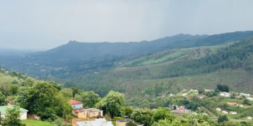 Eswatini moves to strengthen forest protection through new Forestry Bill