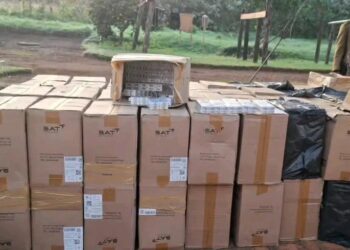 E1.67m worth of illicit cigarettes seized at Eswatini-Mozambique border