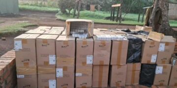 E1.67m worth of illicit cigarettes seized at Eswatini-Mozambique border