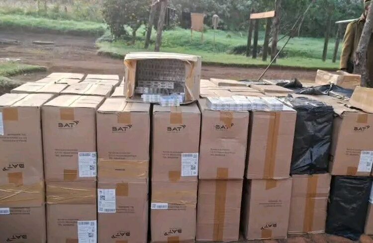 E1.67m worth of illicit cigarettes seized at Eswatini-Mozambique border