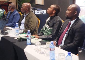 Eswatini aspires to develop automotive manufacturing industry