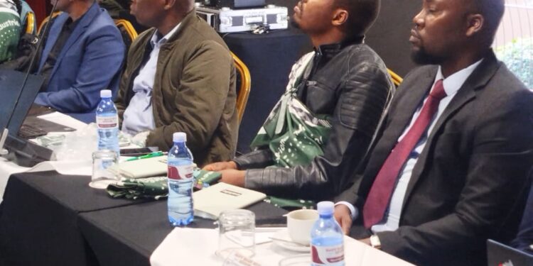 Eswatini aspires to develop automotive manufacturing industry