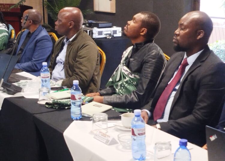 Eswatini aspires to develop automotive manufacturing industry