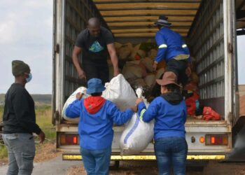 Police destroy 600kg of dagga exhibits worth up to R1.5m