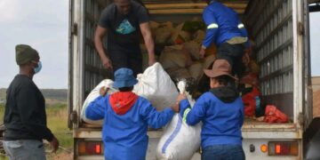 Police destroy 600kg of dagga exhibits worth up to R1.5m