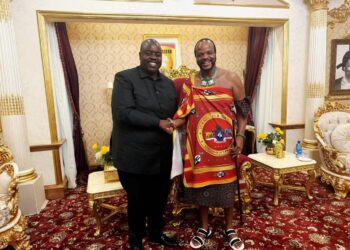 Zim billionaire granted citizenship promises major investments
