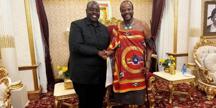 Zim billionaire granted citizenship promises major investments