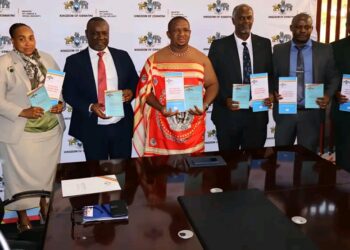 Over 21 000 emaSwati give up searching for jobs – labour survey