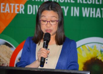 E12.2m traditional vegetable market opens new agribusiness frontier