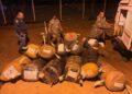 E2.95 million dagga seized near Eswatini border