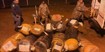 E2.95 million dagga seized near Eswatini border