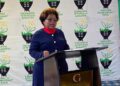 Environment Fund to rebrand to Eswatini Mega Climate Finance Hub