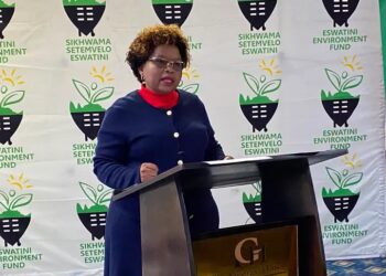 Environment Fund to rebrand to Eswatini Mega Climate Finance Hub