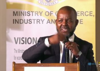 Youth  entrepreneurs emerge as key driver of Eswatini’s Economic growth