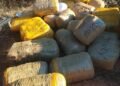 UEDF seizes over 510kg of dagga, arrest three suspects in border operations