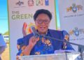 Eswatini nears 50% renewable energy goal