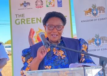 Eswatini nears 50% renewable energy goal