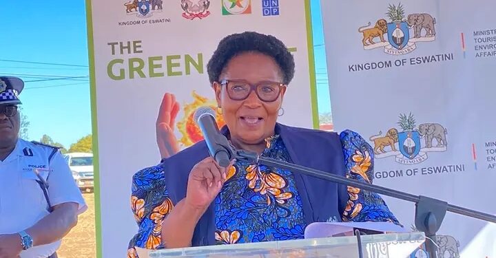 Eswatini nears 50% renewable energy goal