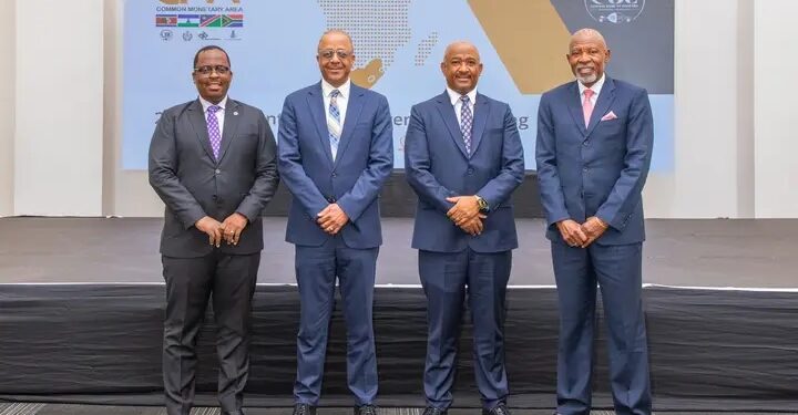 CMA moves to close economic data gaps across member States