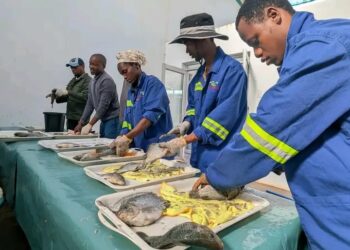 EIMPA set for School of Governance transformation