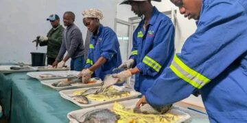 EIMPA set for School of Governance transformation