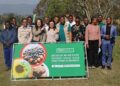 Taiwan commits E24M to Expand traditional vegetable project
