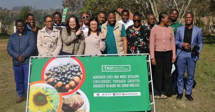 Taiwan commits E24M to Expand traditional vegetable project