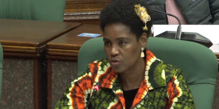 PAC demands fresh audit into E270M water project