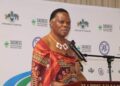 Minister calls for action on Southern Africa’s energy challenges