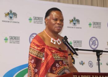 Minister calls for action on Southern Africa’s energy challenges