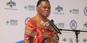 Minister calls for action on Southern Africa’s energy challenges