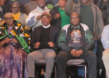Former eThekwini mayor Zandile Gumede joins MKP