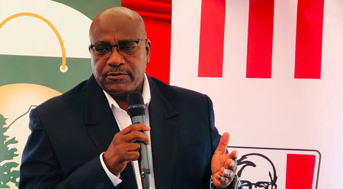 SEL declares over E15M final dividend for shareholders