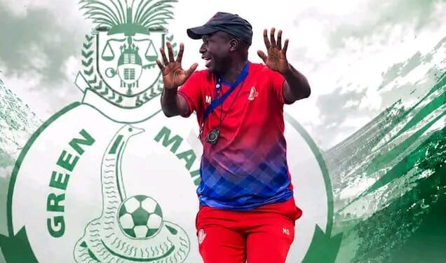 Green Mamba appointed Mthunzi Ginindza as New Head Coach