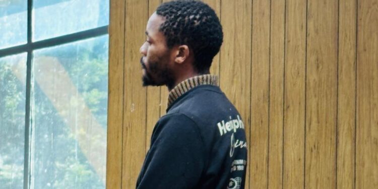 Eluhlendlweni rape, attempted murder accused remanded in custody