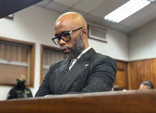 Cat Matlala subpoenaed to appear before Madlanga Commission