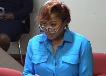 This is where the country is most exposed-  Senator Lizzy warns on data