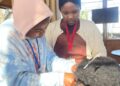 From Braids to Business: Buhle Bakho Turns Girls’ Skills Into Futures