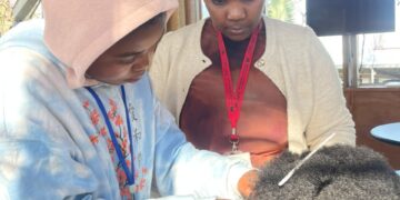 From Braids to Business: Buhle Bakho Turns Girls’ Skills Into Futures