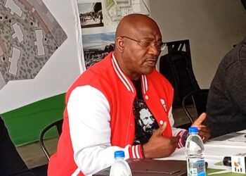 Build first to create demand- African Alliance