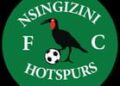 NSINGIZINI HUNT COMEBACK AGAINST SCOTTLAND