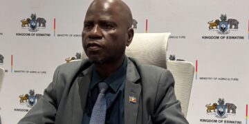 Eswatini to host AU high-level seed meeting