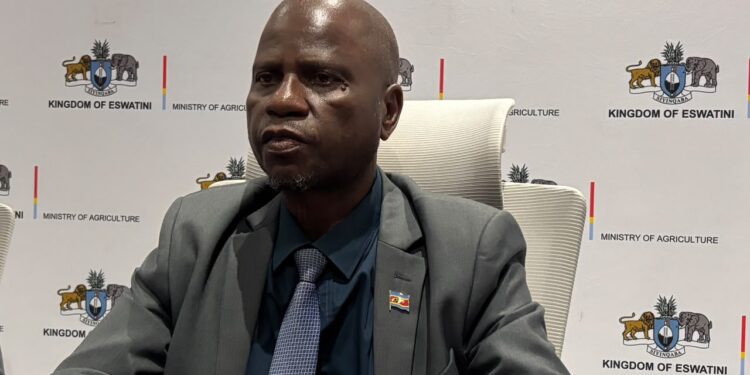 Eswatini to host AU high-level seed meeting