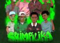 Bab’ Dlamini raises the bar with ‘Shimpilika’ remix