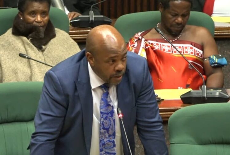 Minister requested extension on TLC probe