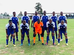 Professionals edge Red Rhinos