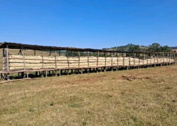 EWADE freeze new intake for Hamba Ubuye programme