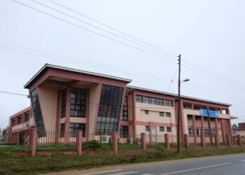 ECOT missing from Eswatini’s visible ICT workforce