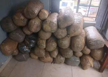 597kg dagga worth E3m seized in SA busts involving Emaswati